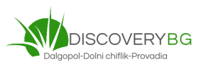 discoverybg
